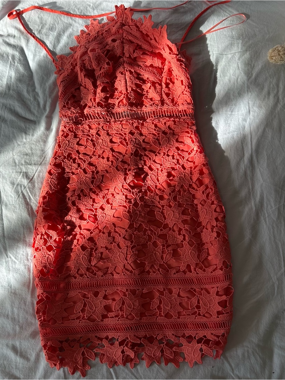 Astr Coral Lace Mini Dress with Floral Cutwork